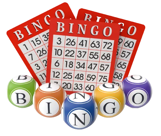 How to Play Bingo | a Candid Guide to Playing Bingo in NZ